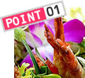 POINT 01