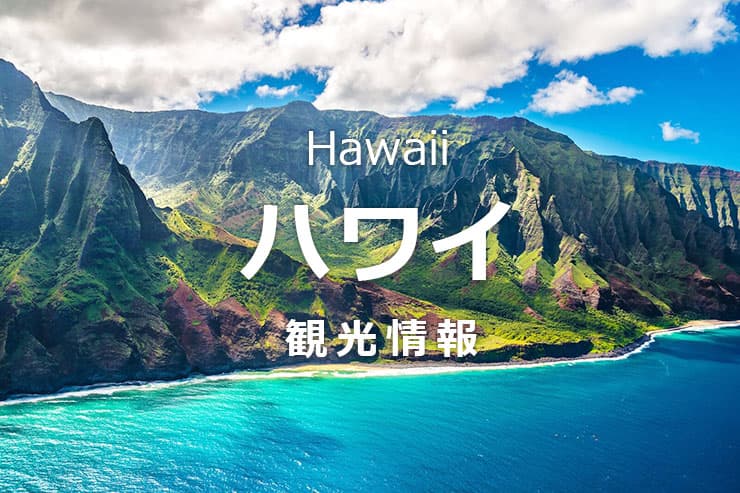 ハワイ観光情報