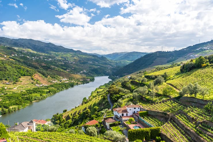 ポルトワインの産地として有名なドウロ渓谷