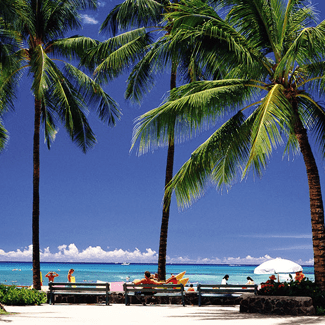 ハワイで遊ぶならやっぱり海 おすすめオプショナルツアー15選 Tripiteasy