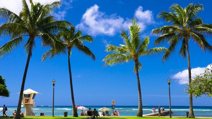 【旅の調査団M&H】ハワイ編⑥円安とハワイの物価高を乗り切る方法は？