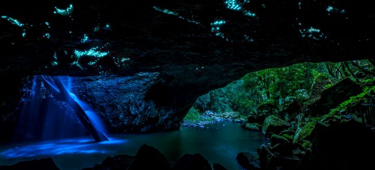 土ボタルが光る洞窟