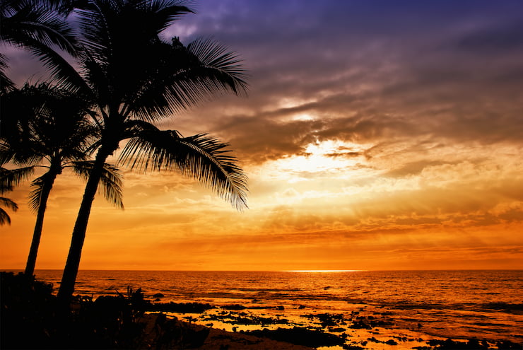 Hawaiian sunset with tropical palm tree silhouettes