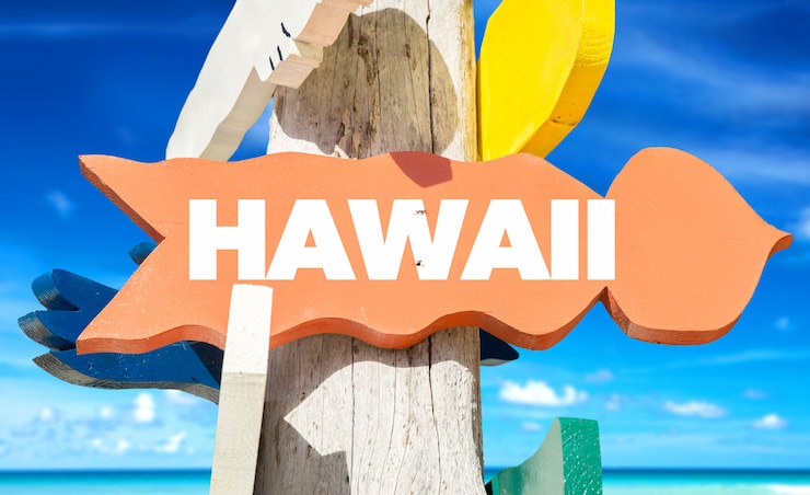 Hawaii welcome sign with beach