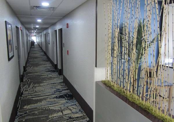 Interior Corridors
