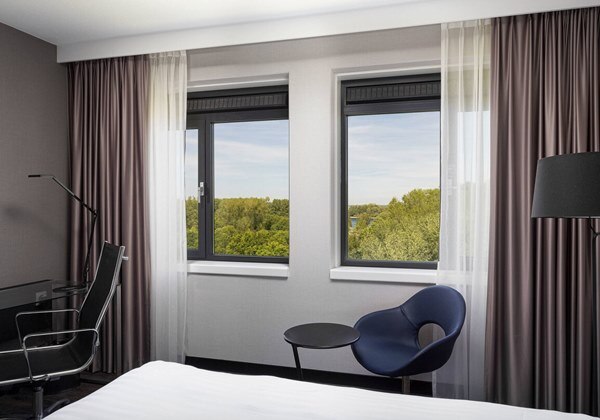 Business King Park View Room