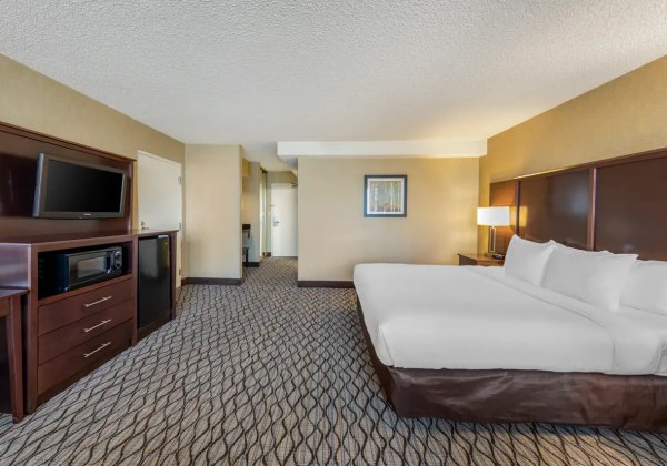 1 King Bed 1 Room Suite Corner Room