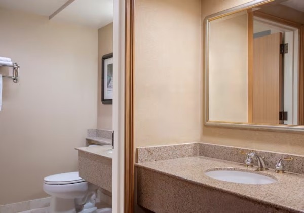 Guest Room Bathroom