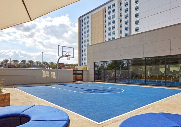Basket Ball Court