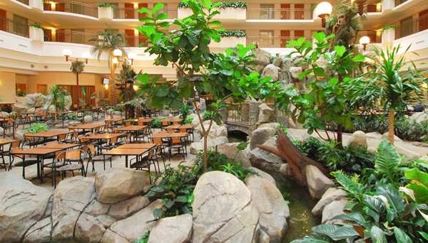 エンバシースイーツ バイ ヒルトン アナハイム サース（アナハイム