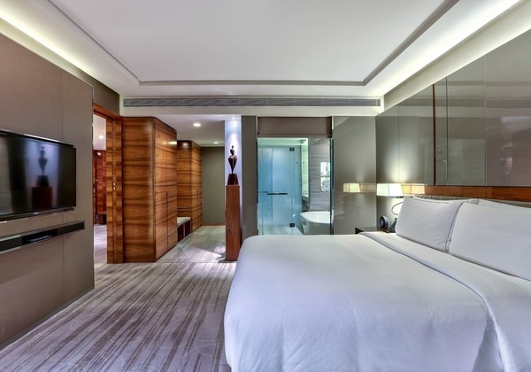 King Executive Suite Room