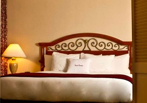 1KG STE MOBILITY/HEARING ACC RI SHWR NOS