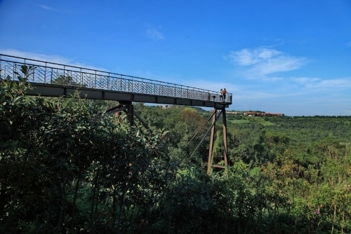 天空歩道-樹海橋