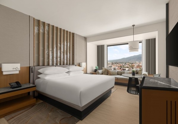 Deluxe Guest Room 1 King