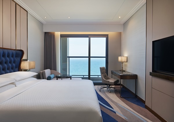 Pano DLX King Ocean.new