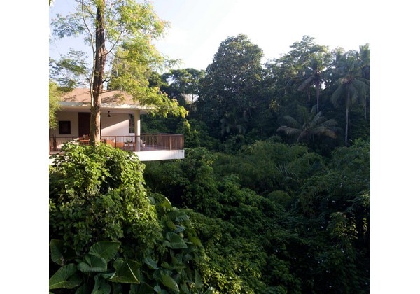 Terrace Tree Villa