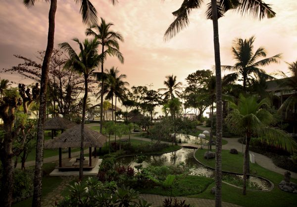 Garden panoramic