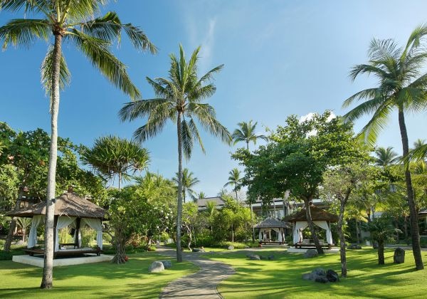 Tropical Garden