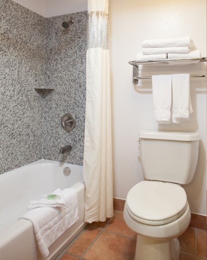 Bathroom Deluxe Room