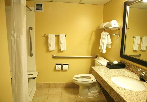Mobility Accessible Bathroom with Roll-I