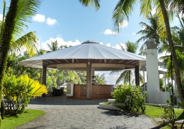 Pool Bar Bougainvillea