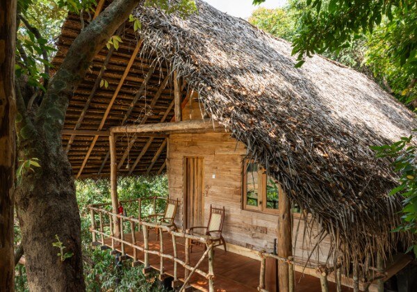 Tree House
