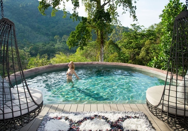 Tree Pool House