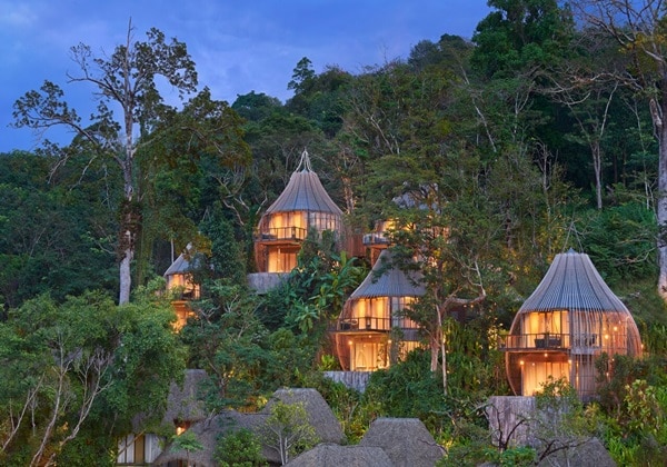 Tree Pool House