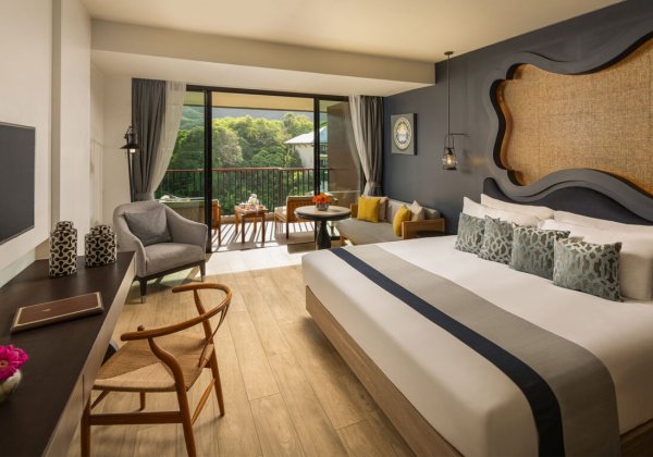 Deluxe Mountain View Room