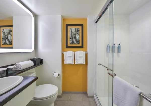 Guest Room Bathroom