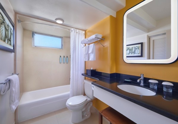 Guest Room Bathroom