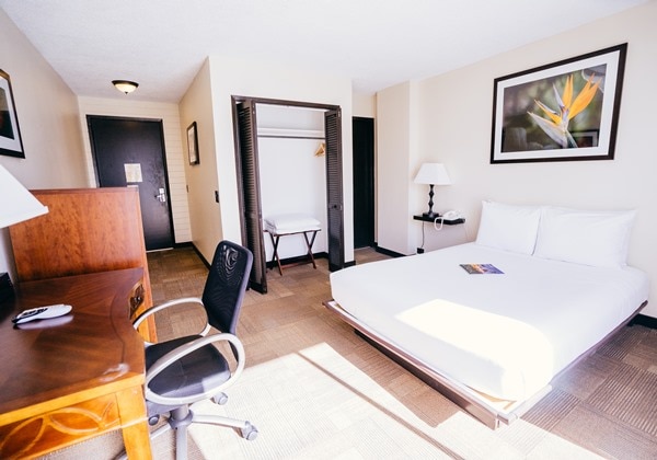 H I S ステイホテル ワイキキのホテル詳細ページ 海外ホテル予約