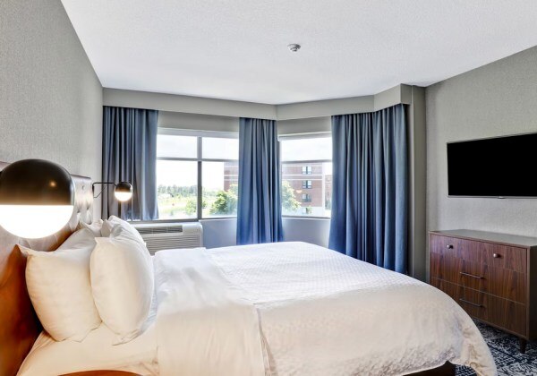 Larger Suite 1 King Sofa Bed