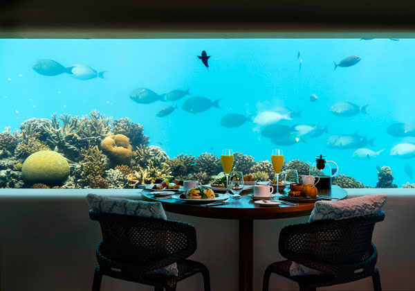 LATITUDE 4°,  underwater dining/イメージ