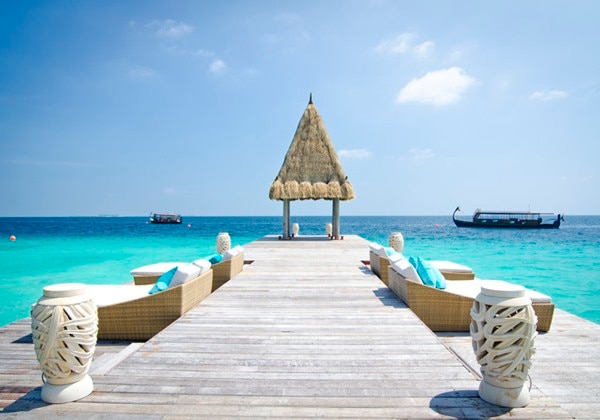 ビンディングの販売 モルディブ諸島 1963 国際飢餓年 未使用7種フルセット D3d021c0 ウェブストアは Www Cfscr Com