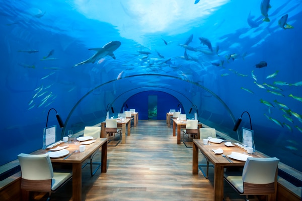 Ithaa Under Sea Restaurant/イメージ