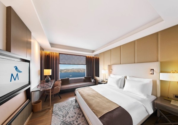 Deluxe Bosphorus View