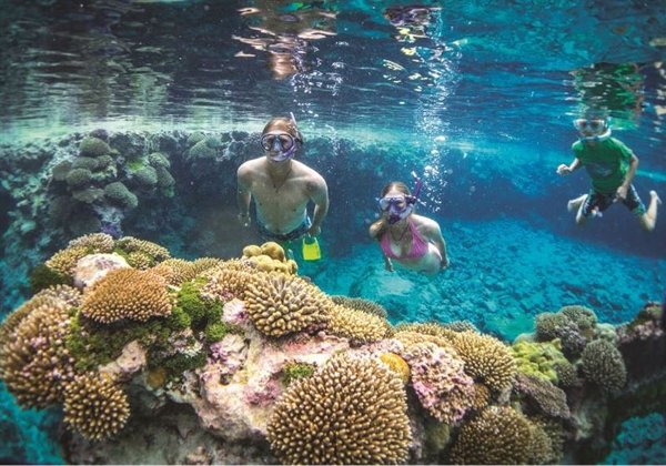 アクティビティ