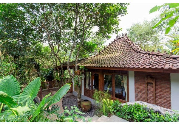 Garden Plunge Pool Villa