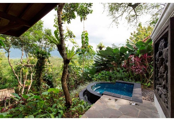 Garden Plunge Pool Villa