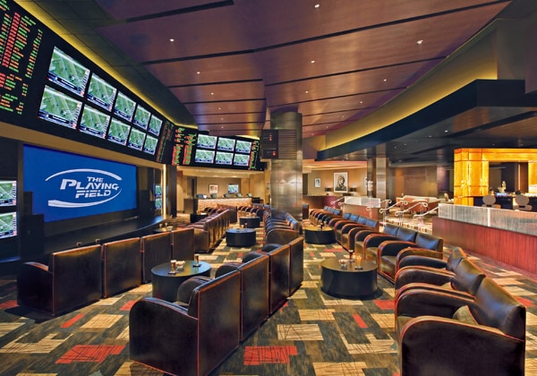 The Playing Field Race and Sportsbook