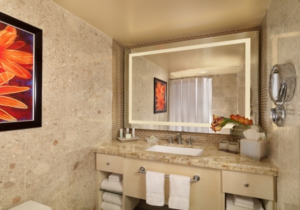 Deluxe Room Bathroom