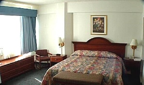 GUEST ROOM IMAGE (1 KING BED)