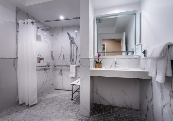 Accessible 1Bedroom Luxury Suite