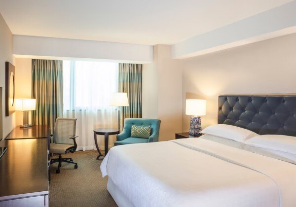 Business Deluxe 1 King