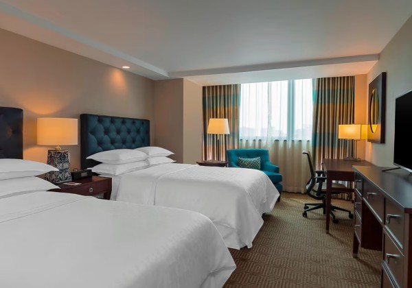 Business Deluxe  2 Double Danubio Tower