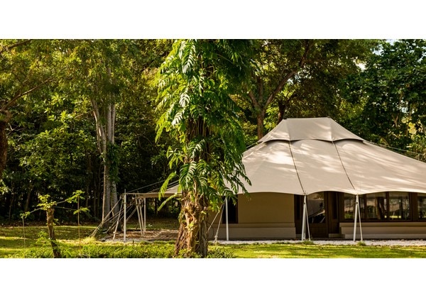 Jungle Tent