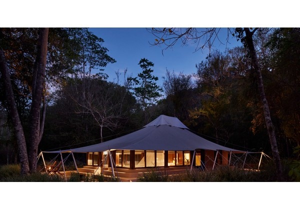 Jungle Tent