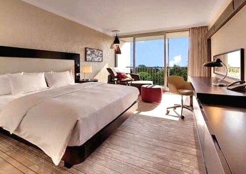 KING HILTON EXECUTIVE ROOM