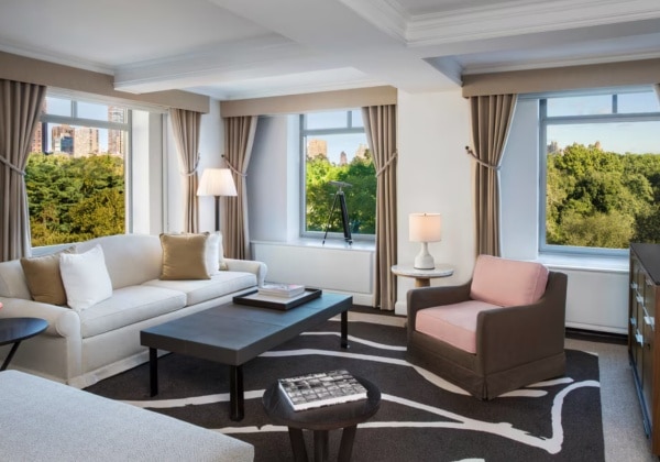 Park View Suite, 1 Bedroom Suite, 1 King